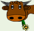 Happy Cow icon