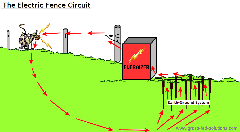 In Ground Fence Wiring Basics 